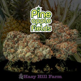 Pineapple Fields