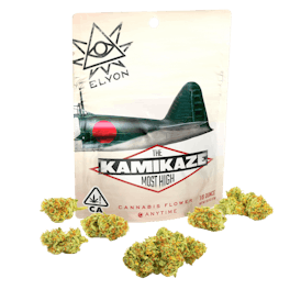 Kamikaze