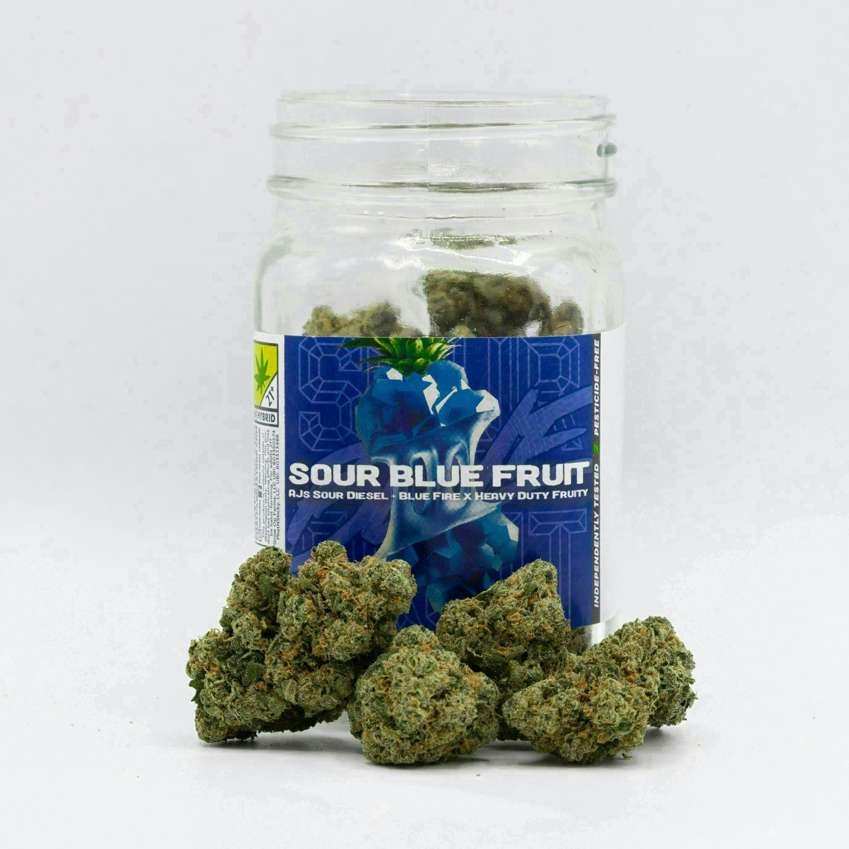 Sour Blue Fruit | Big Buds