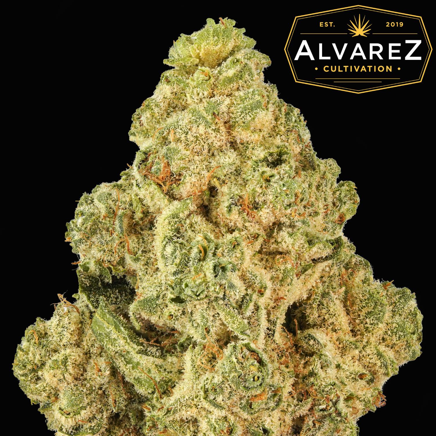 Orange Cake Pops Alvarez Cultivation