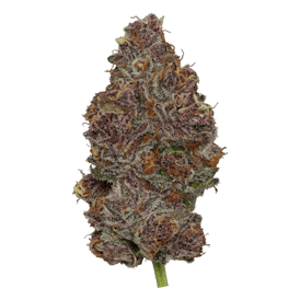Tropicana Cherry Deli Flower