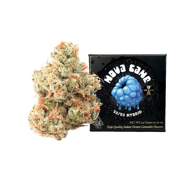 Team Elite Genetics: Nova Cane