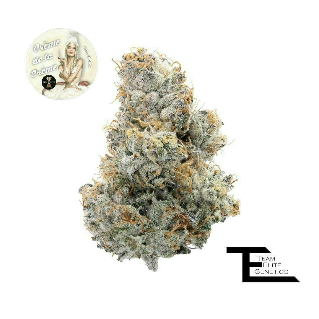 Crème de la Crème | Big Buds | 3.5g