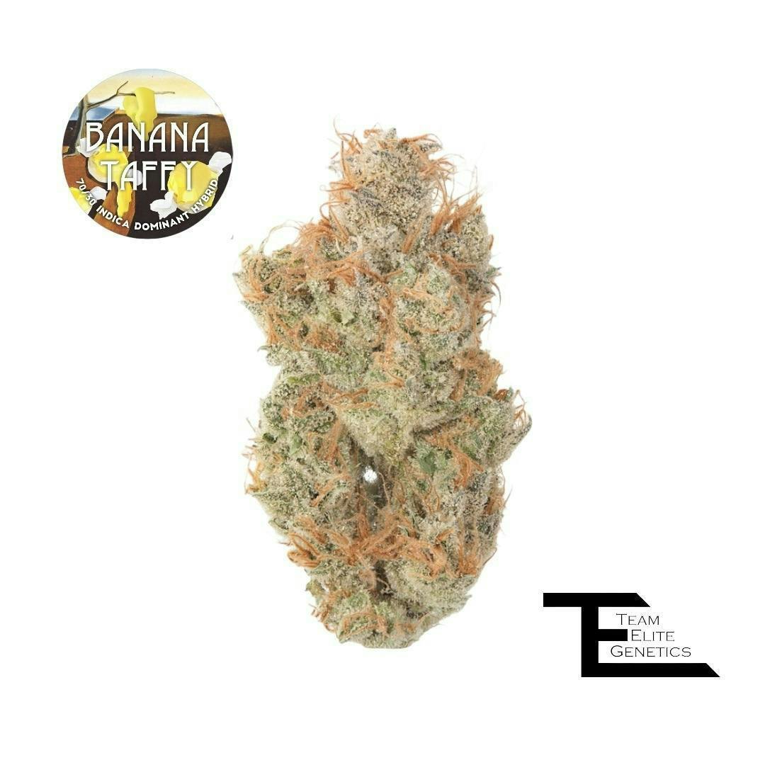 Team Elite Genetics: Banana Taffy