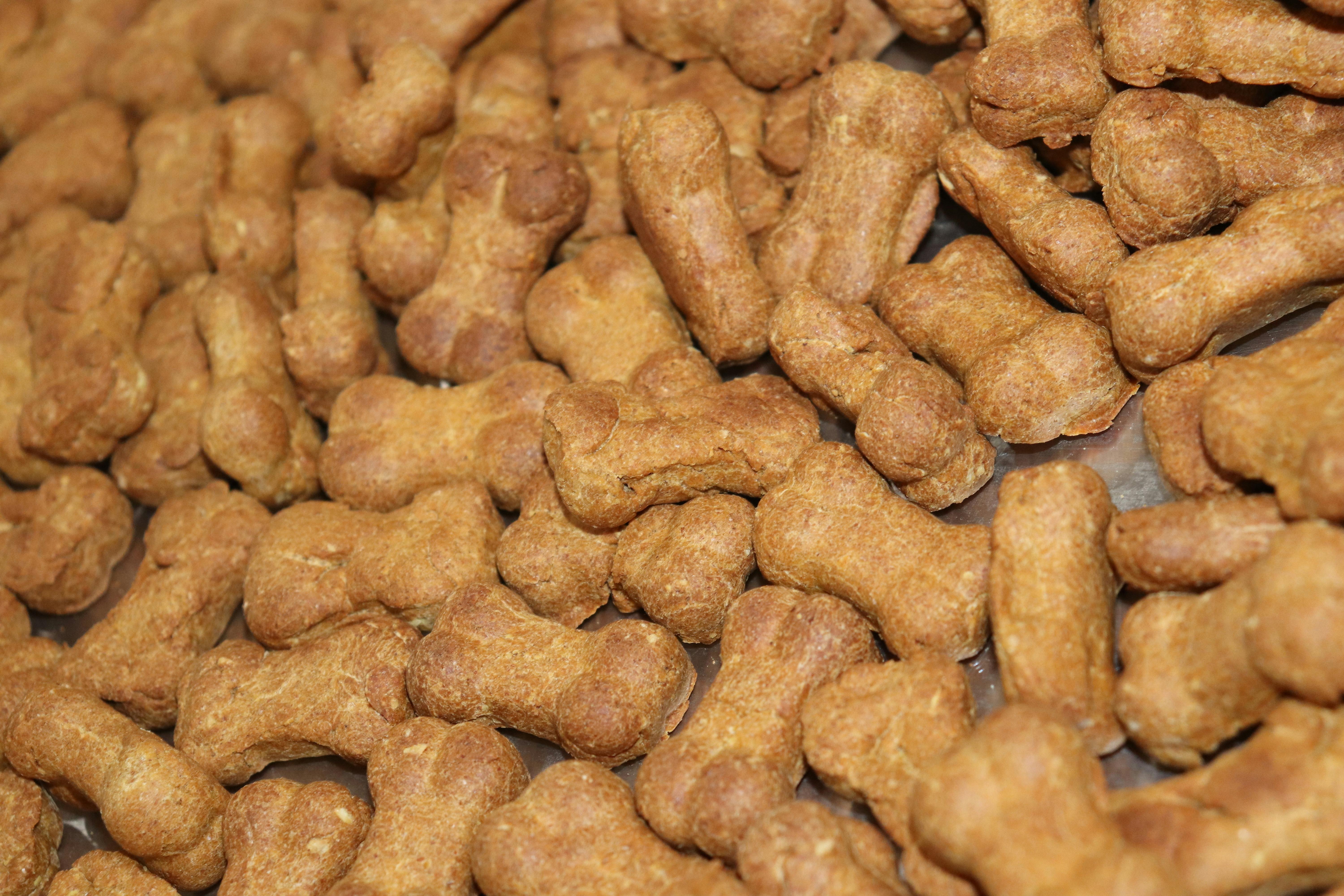 CBD Pumpkin & Peanut Butter Dog Treats 100mg by Medible Delights