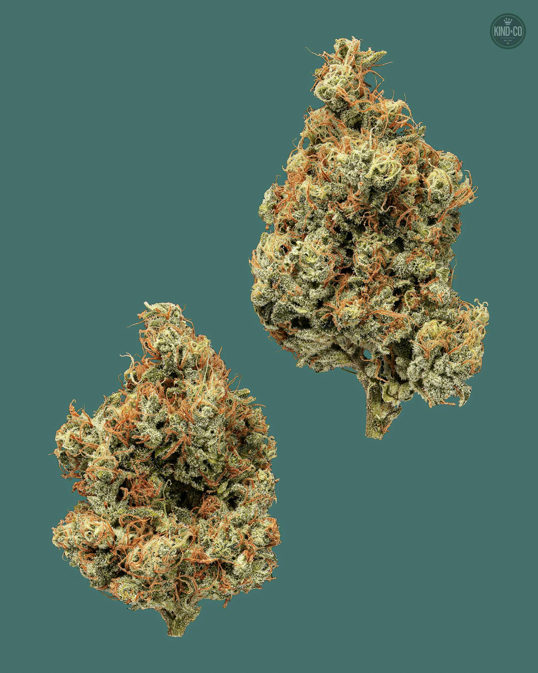 Ghost Train Haze #1 by Kind & Co
