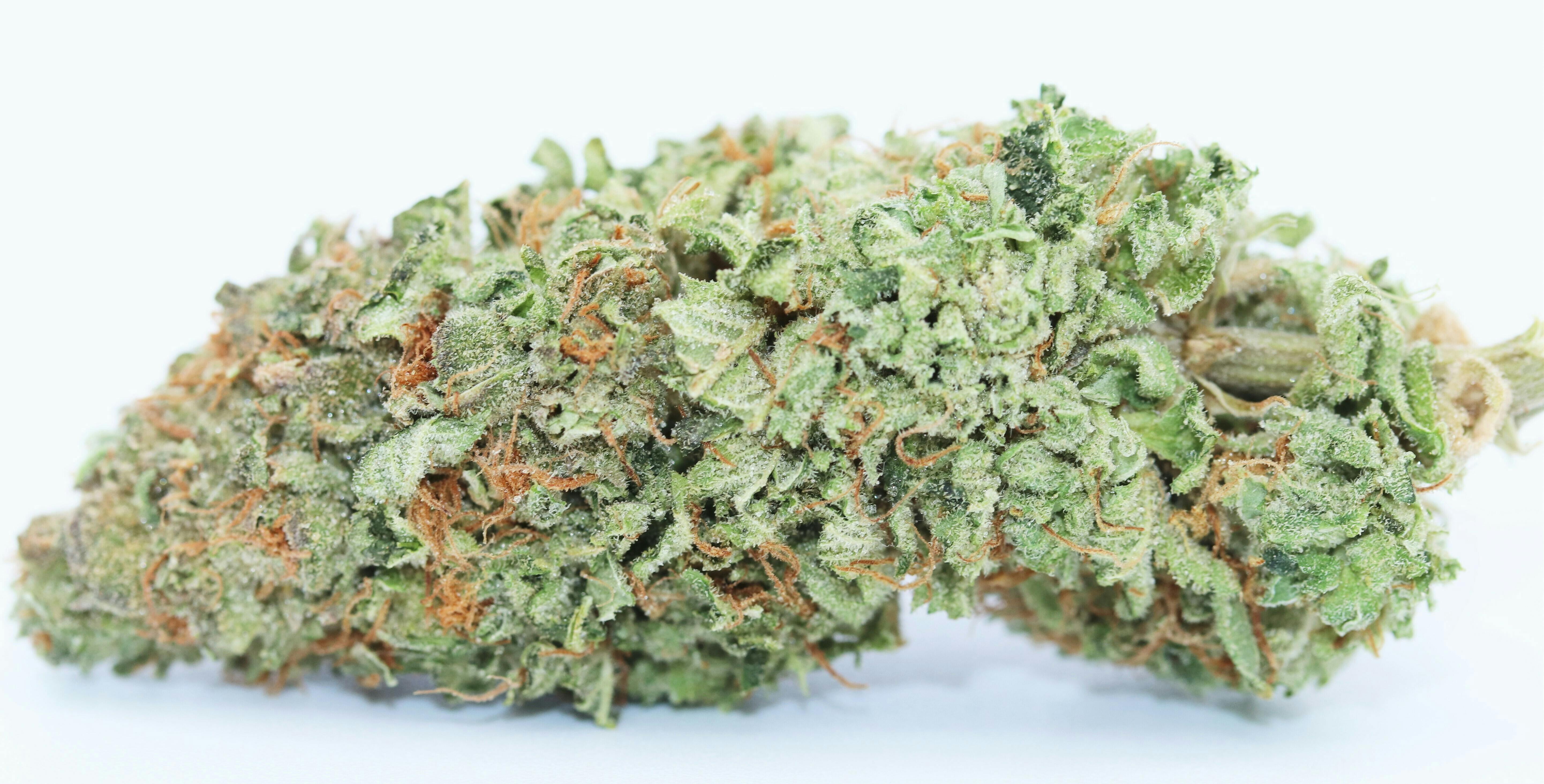 Pie Eyed Elevation 207