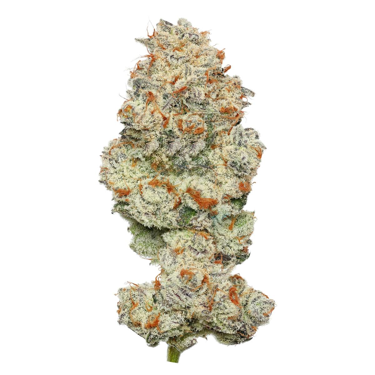 Platinum Punch Mints Enlighten