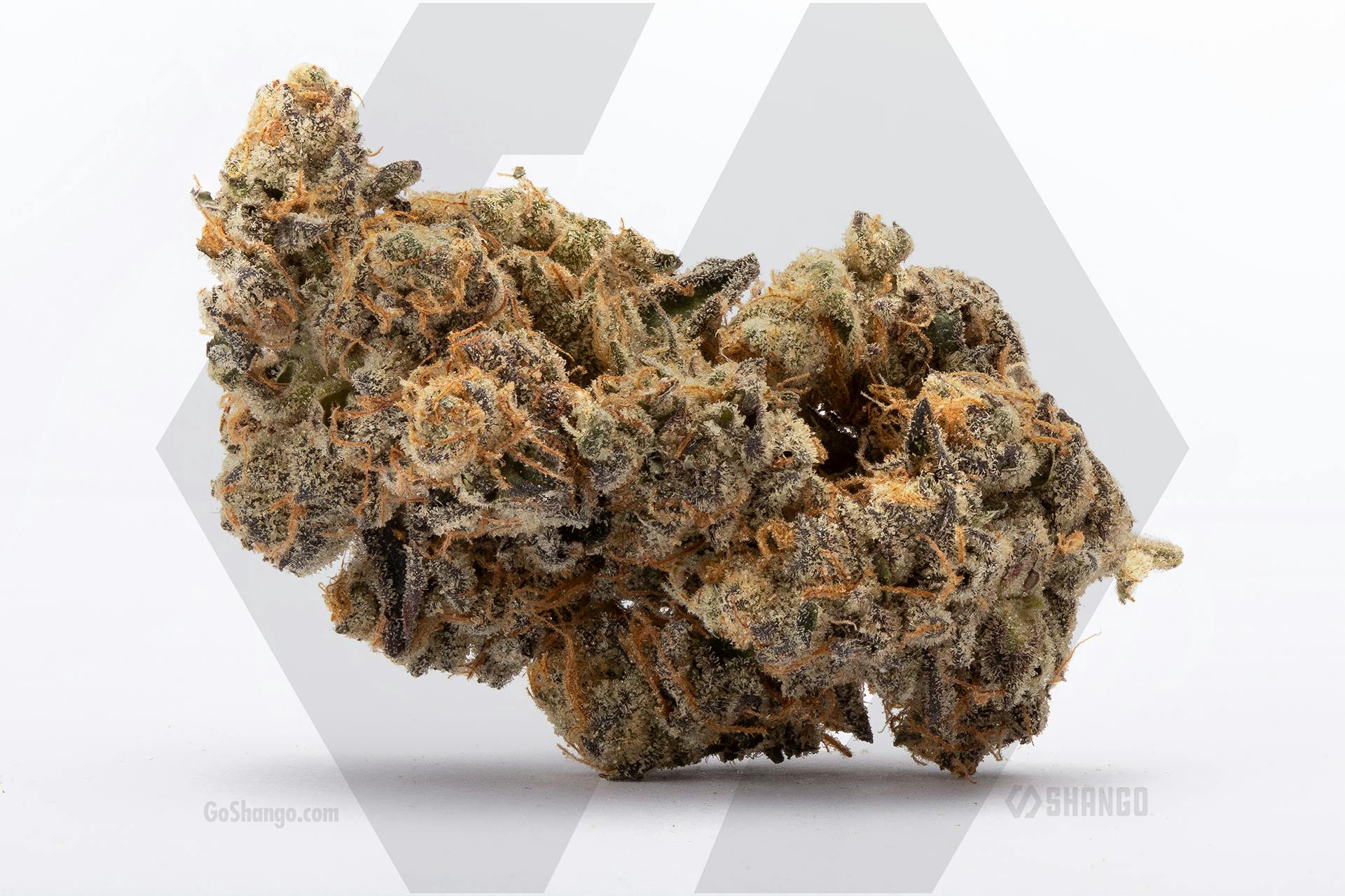 Mango OG