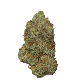 Tropicana Banana
