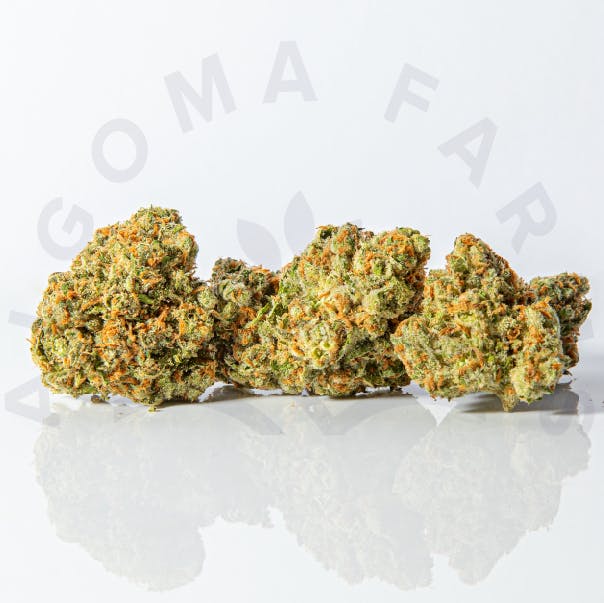 Green Crack