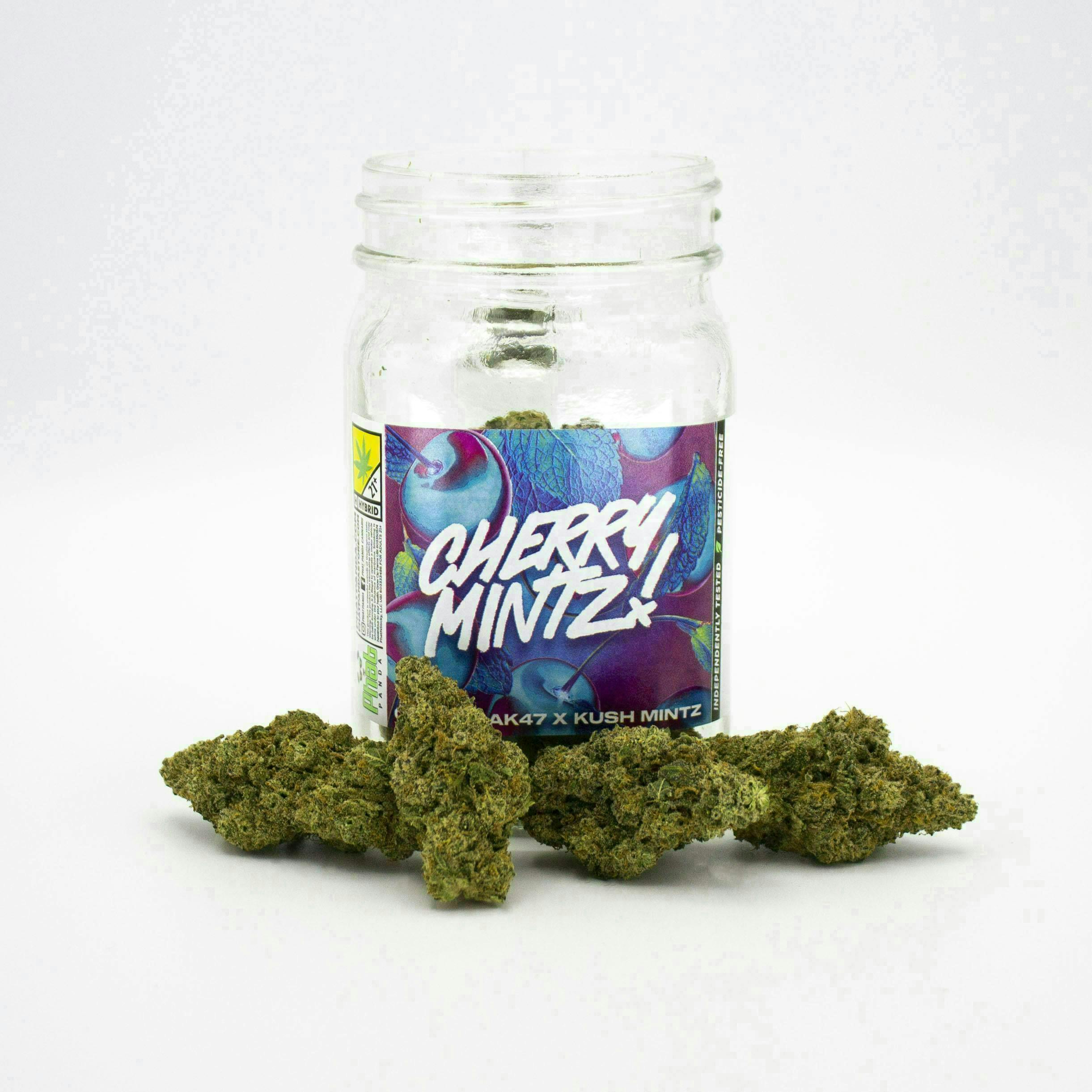 Cherry Mintz | Big Buds