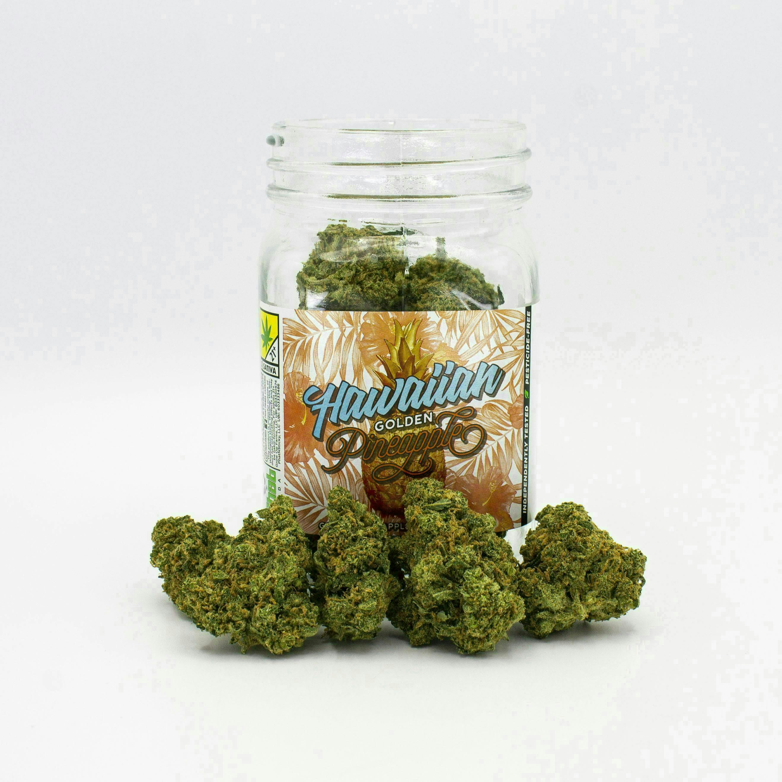 Hawaiian Golden Pineapple | Big Buds