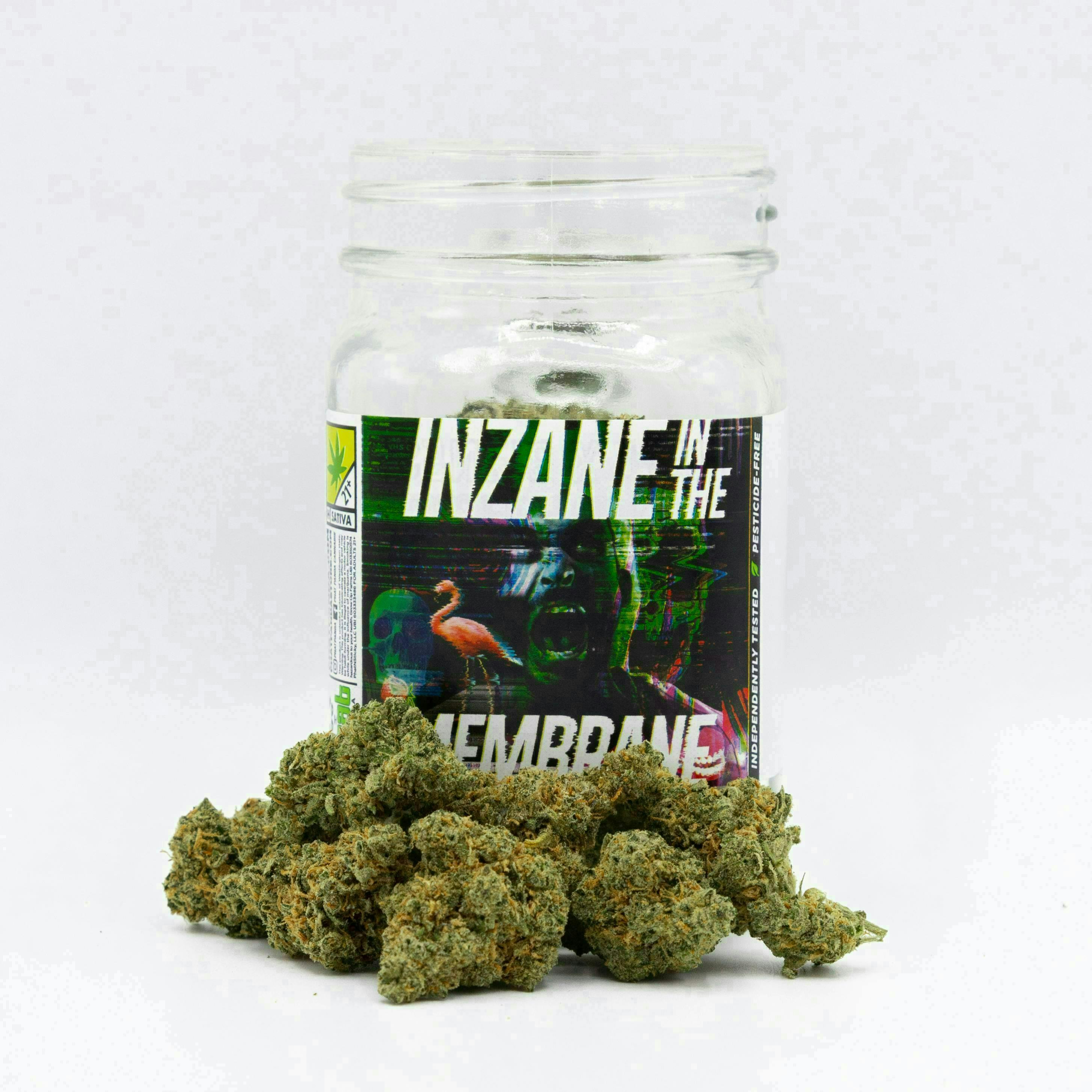 Inzane in the Membrane | Big Buds at Northwest Cannabis Connection