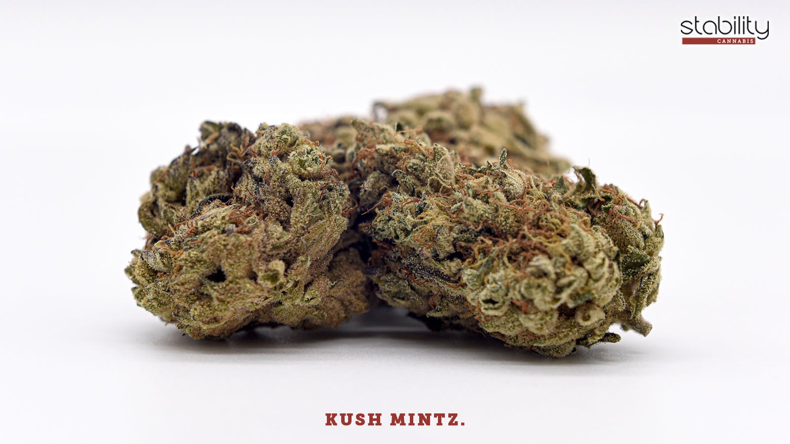 Kush Mintz