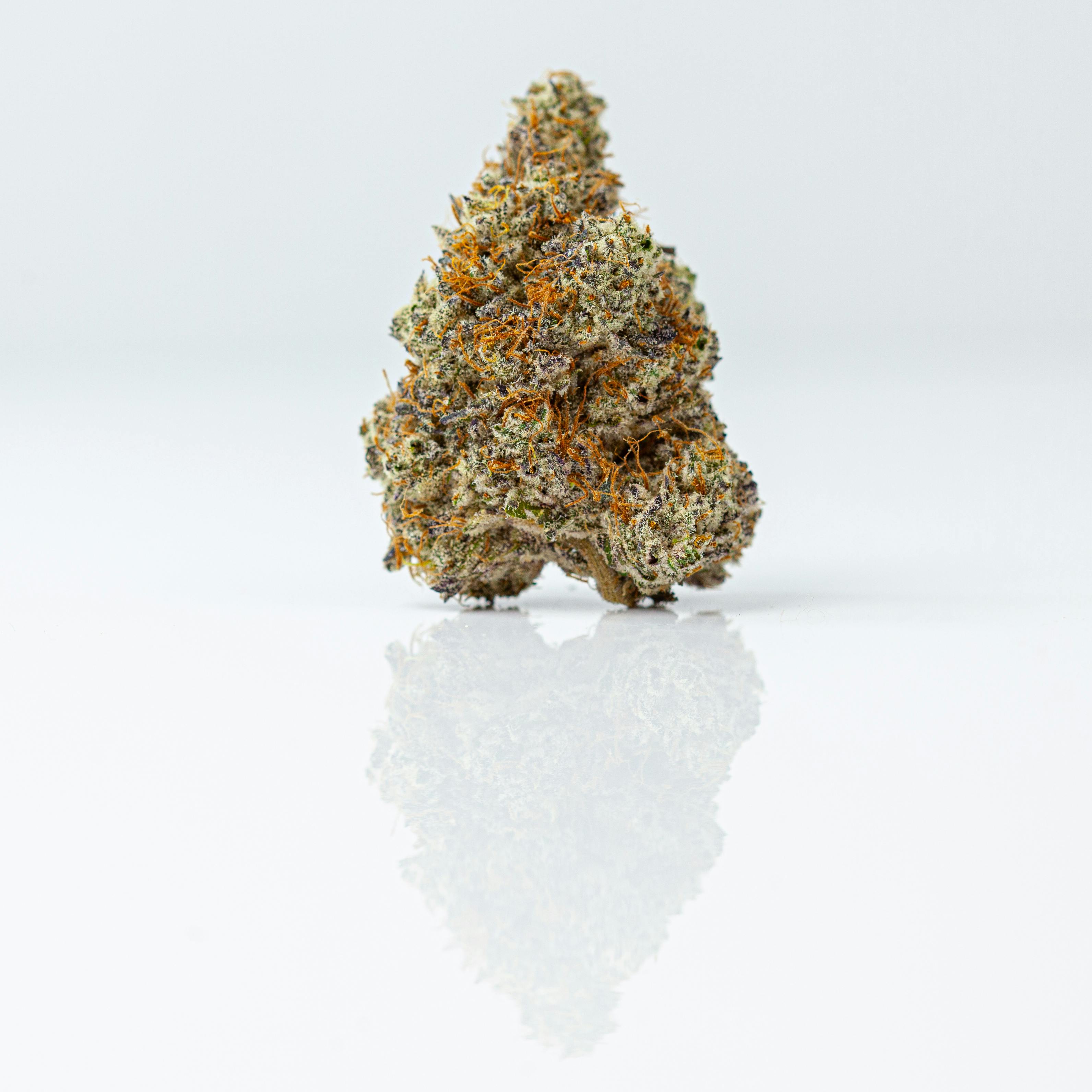 Mint Chocolate Chip