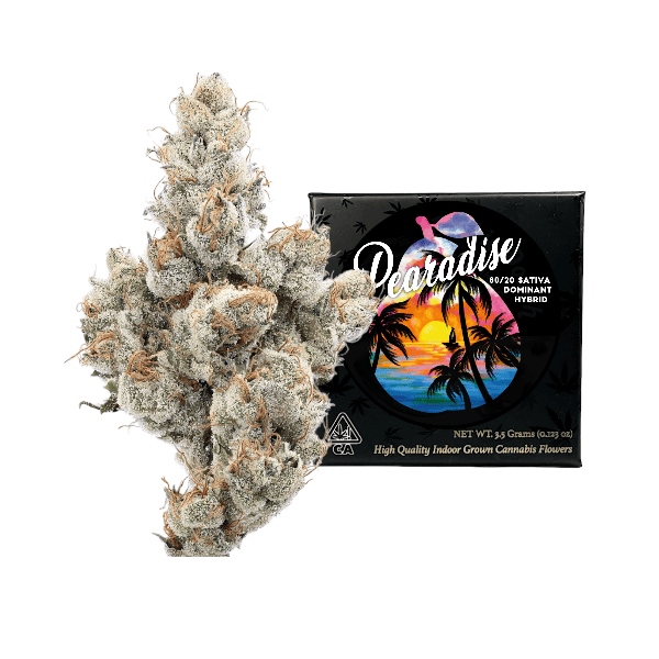 Pearadise | Big Buds | 3.5g