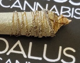 KiX Pre-Roll w/ Rosin & Kief Coating - 1 1/4s - 5 pack