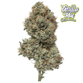Gorilla MAC