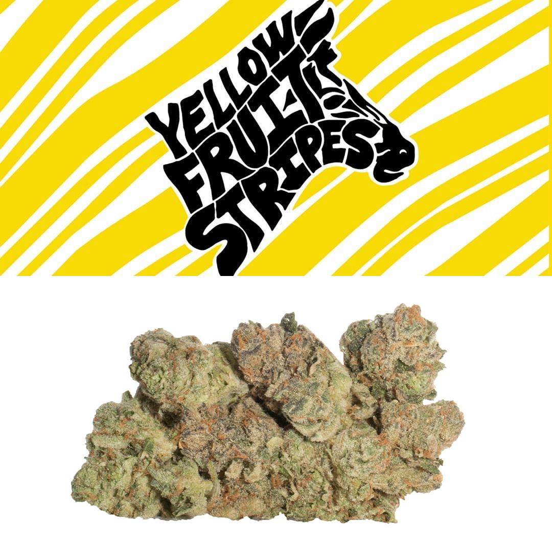 Yellow Fruit Stripes | Buds