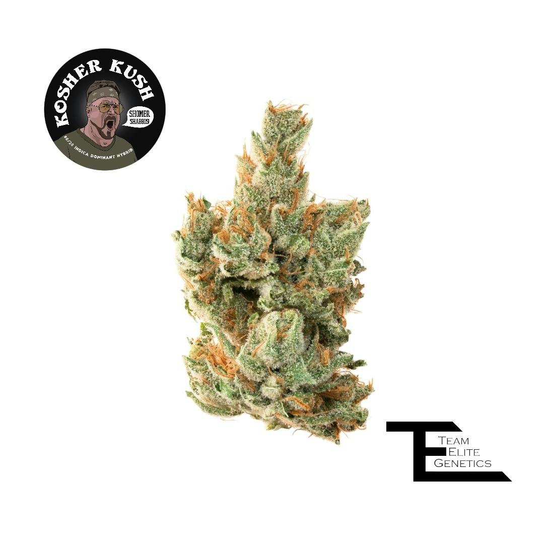 Team Elite Genetics — Kosher Kush