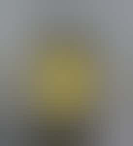 Concentrate - Cured Badder - Cotton Candy Cookies #12