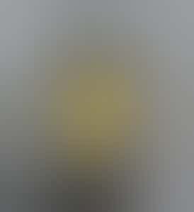 Concentrate - Cured Badder - Meat Breath