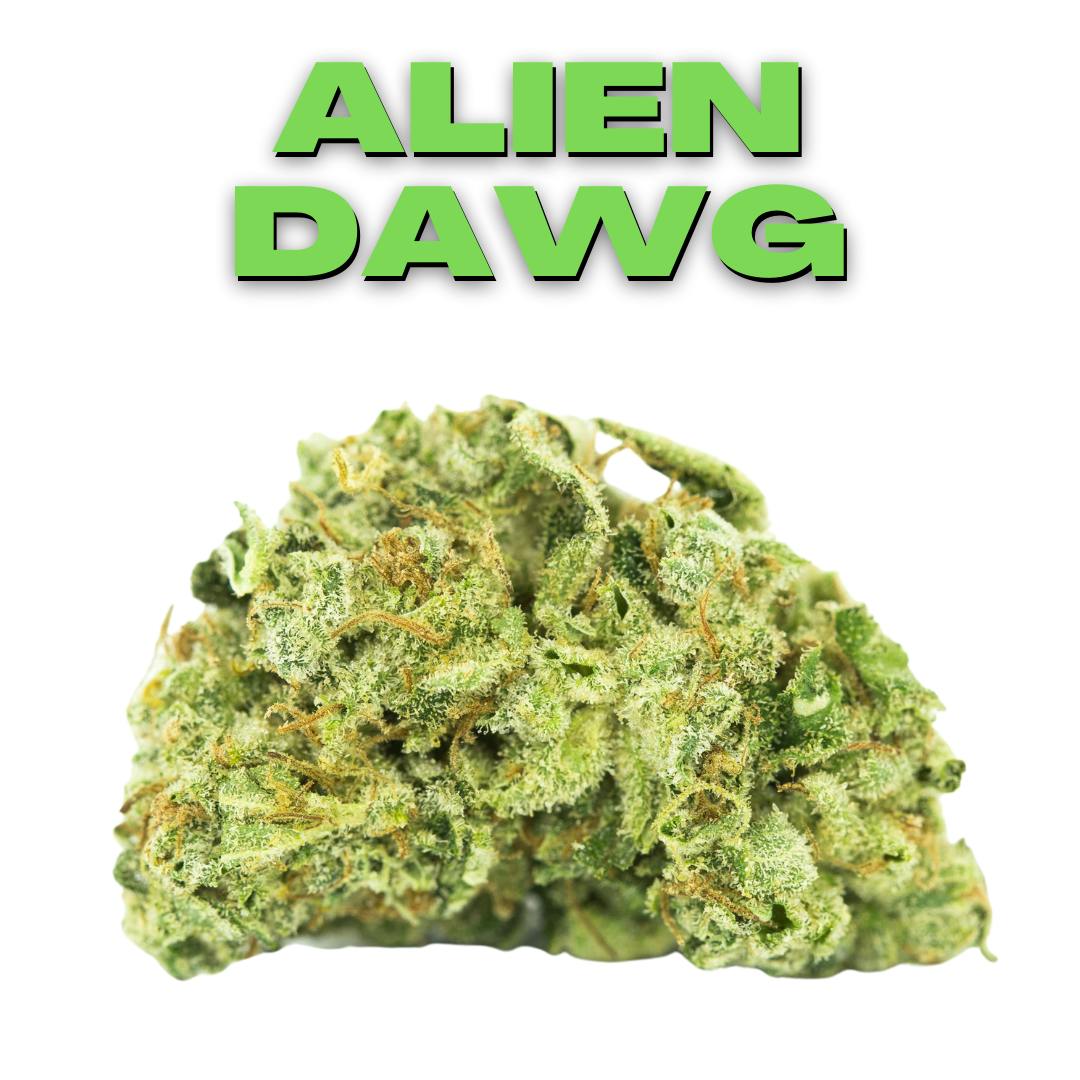 Alien Dawg Weed Strain Information