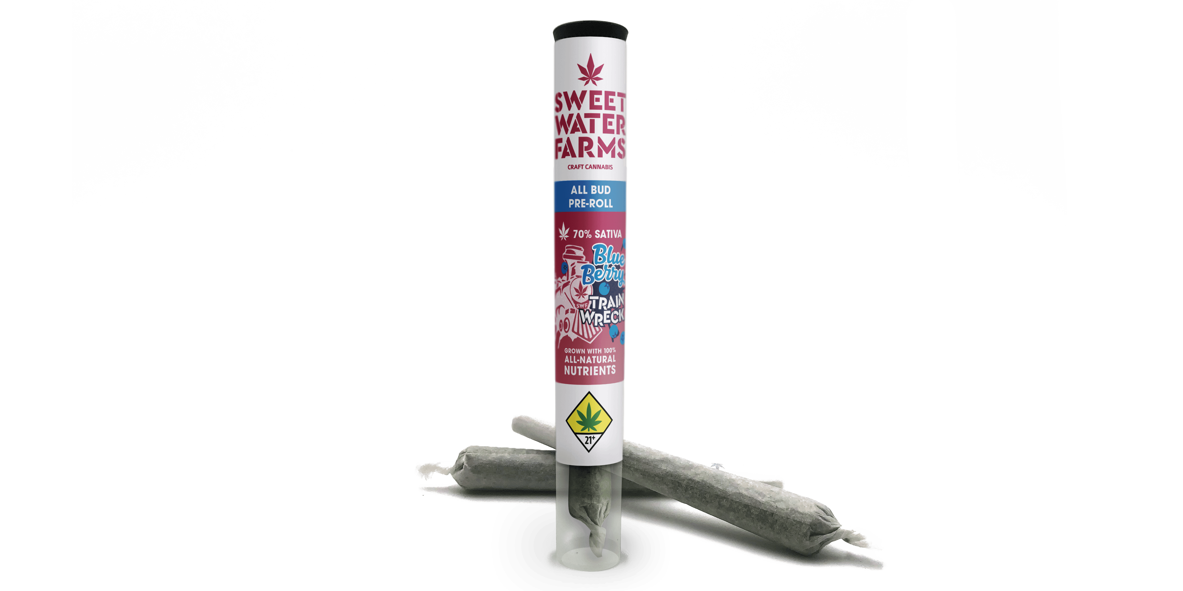 Blueberry Trainwreck - Pre-Rolled Joints 1g (2-pack)