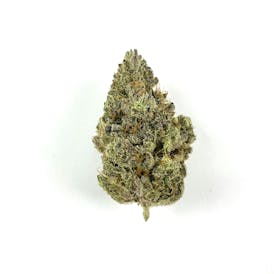 Grease Monkey