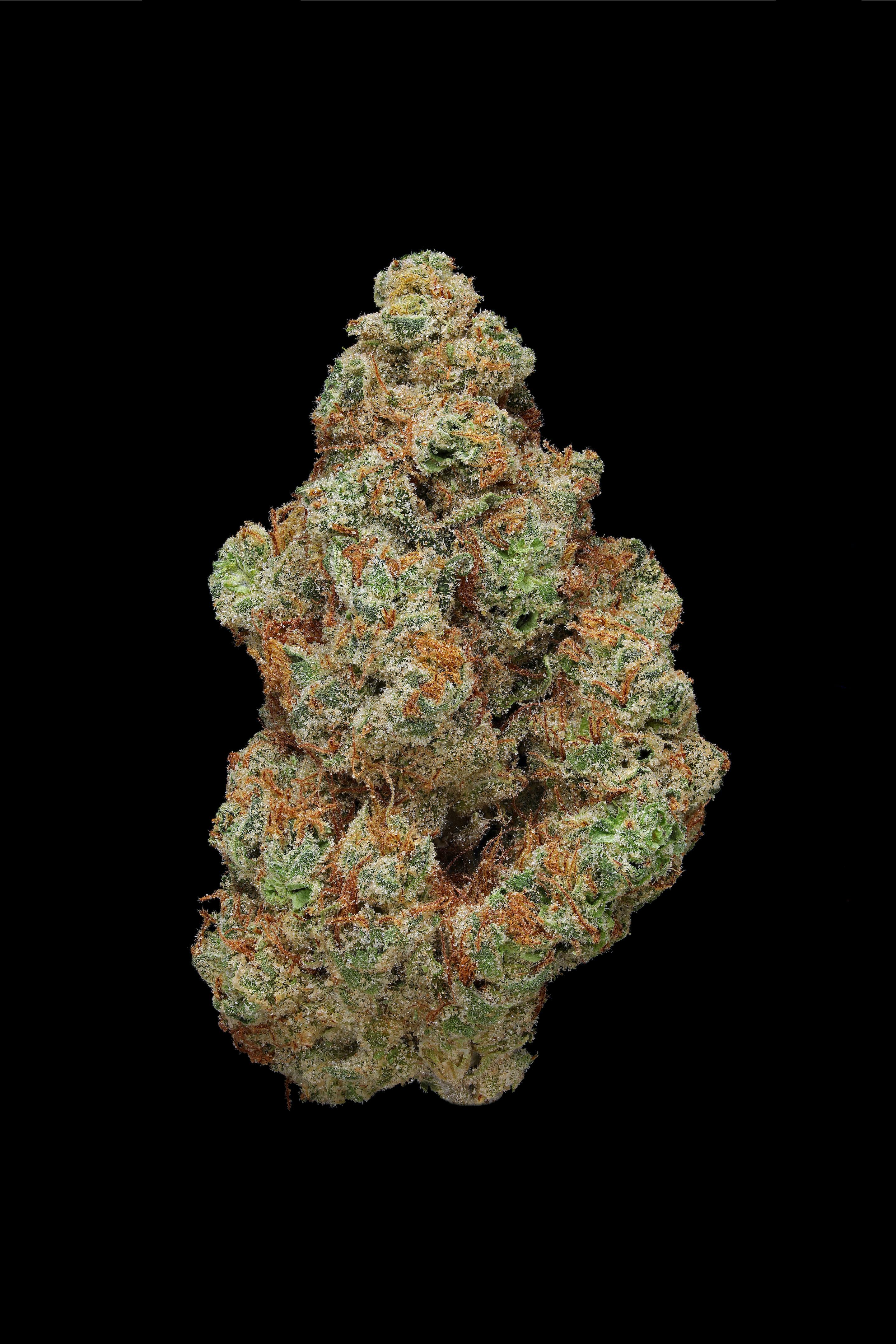 G13 Flower 1/8 by Clade9