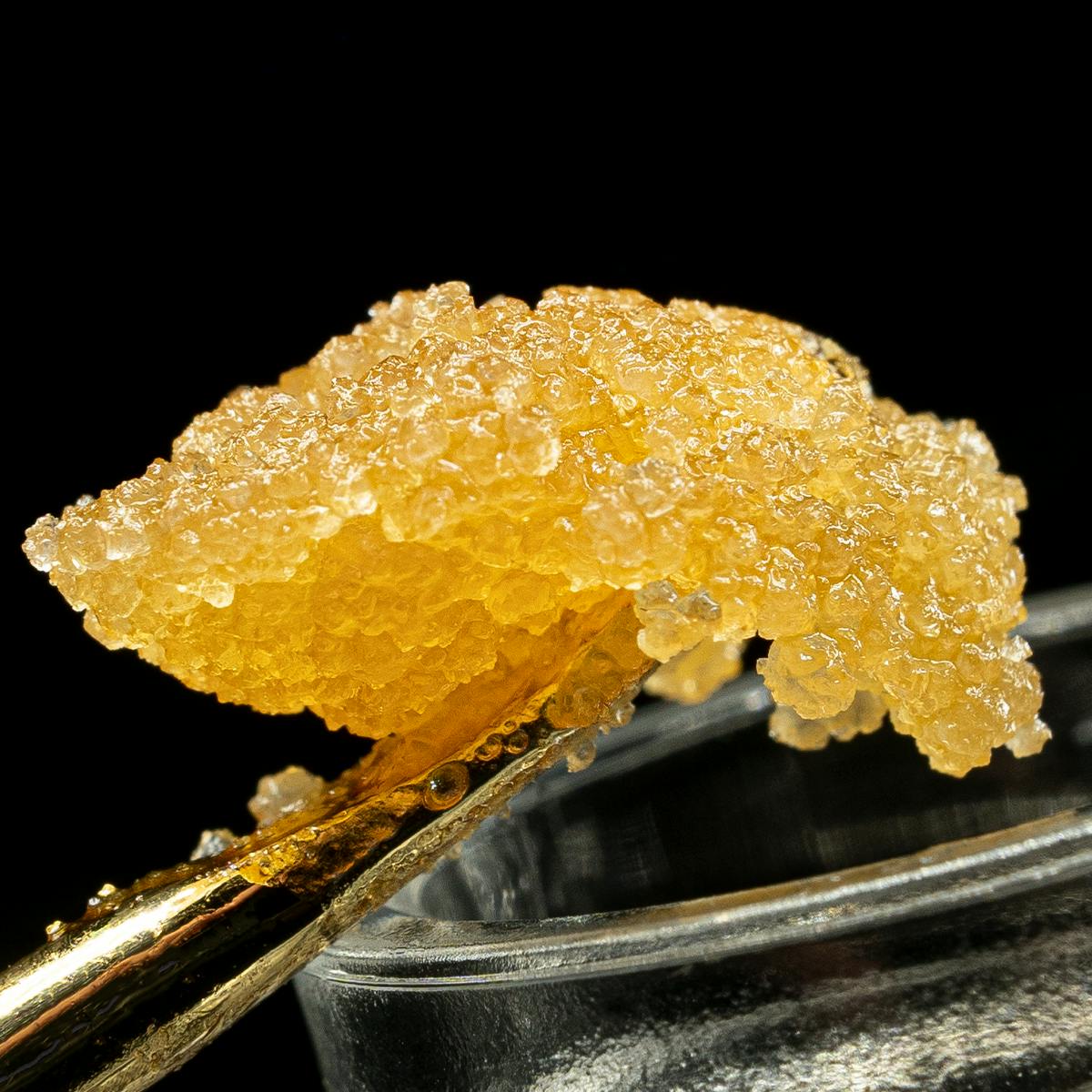 Sherb Mints Caviar Diamonds - Maven Genetics