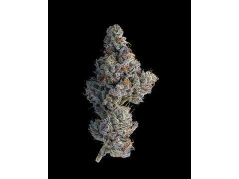 Kush Mints