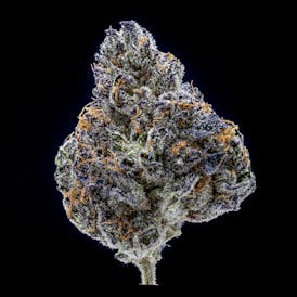 Ice Cream Cake by JAR Cannabis Co.