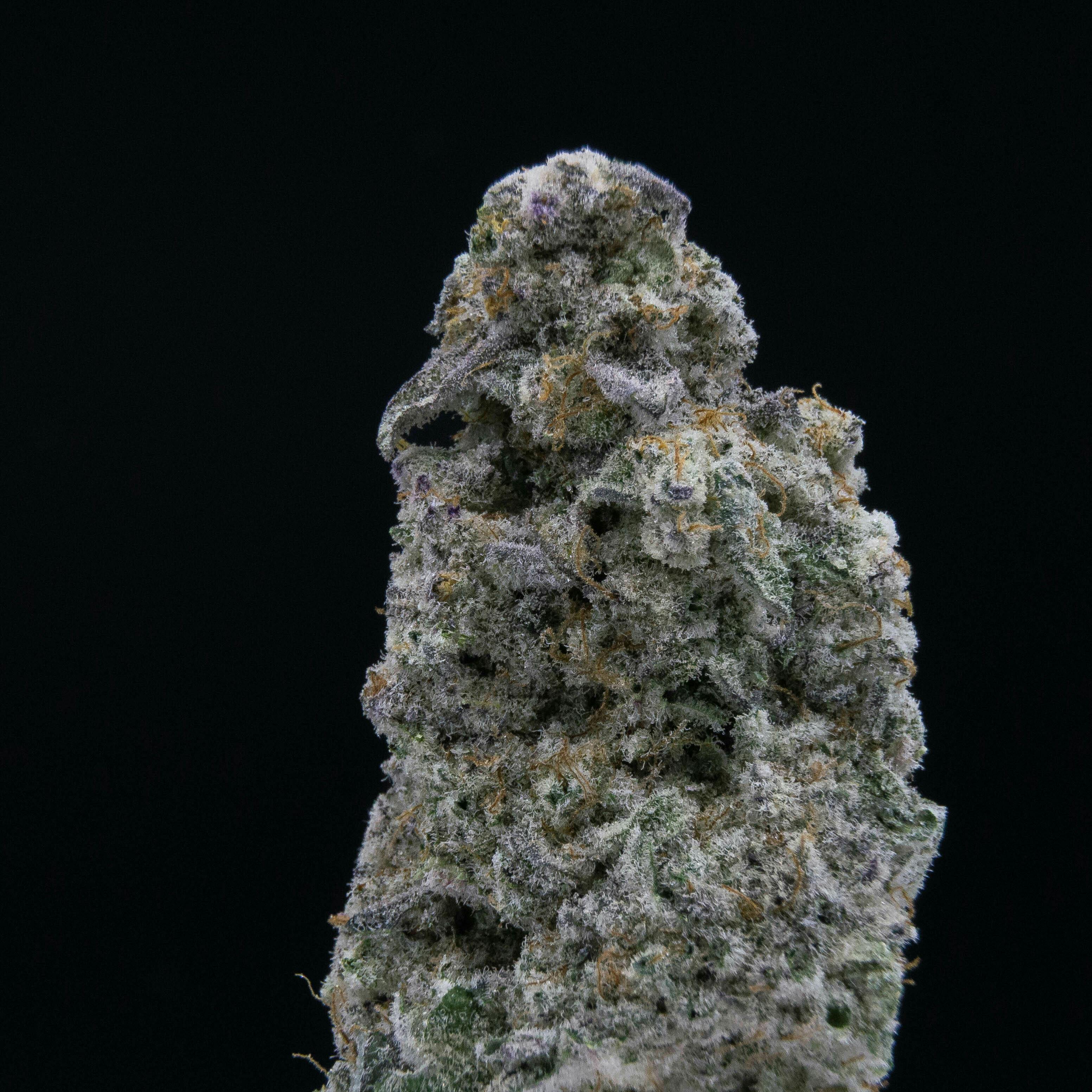MAC 1 by JAR Cannabis Co. at JAR Cannabis Co. Dispensary - Carrabassett (Sugarloaf)