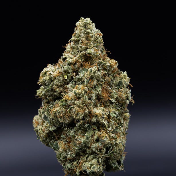 Motorbreath by JAR Cannabis Co. at JAR Cannabis Co. Dispensary - Carrabassett (Sugarloaf)