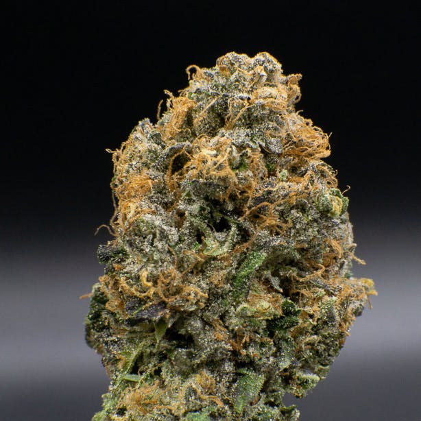 Peanut Butter Breath x Zkittlez by JAR Cannabis Co. JAR Cannabis Co.