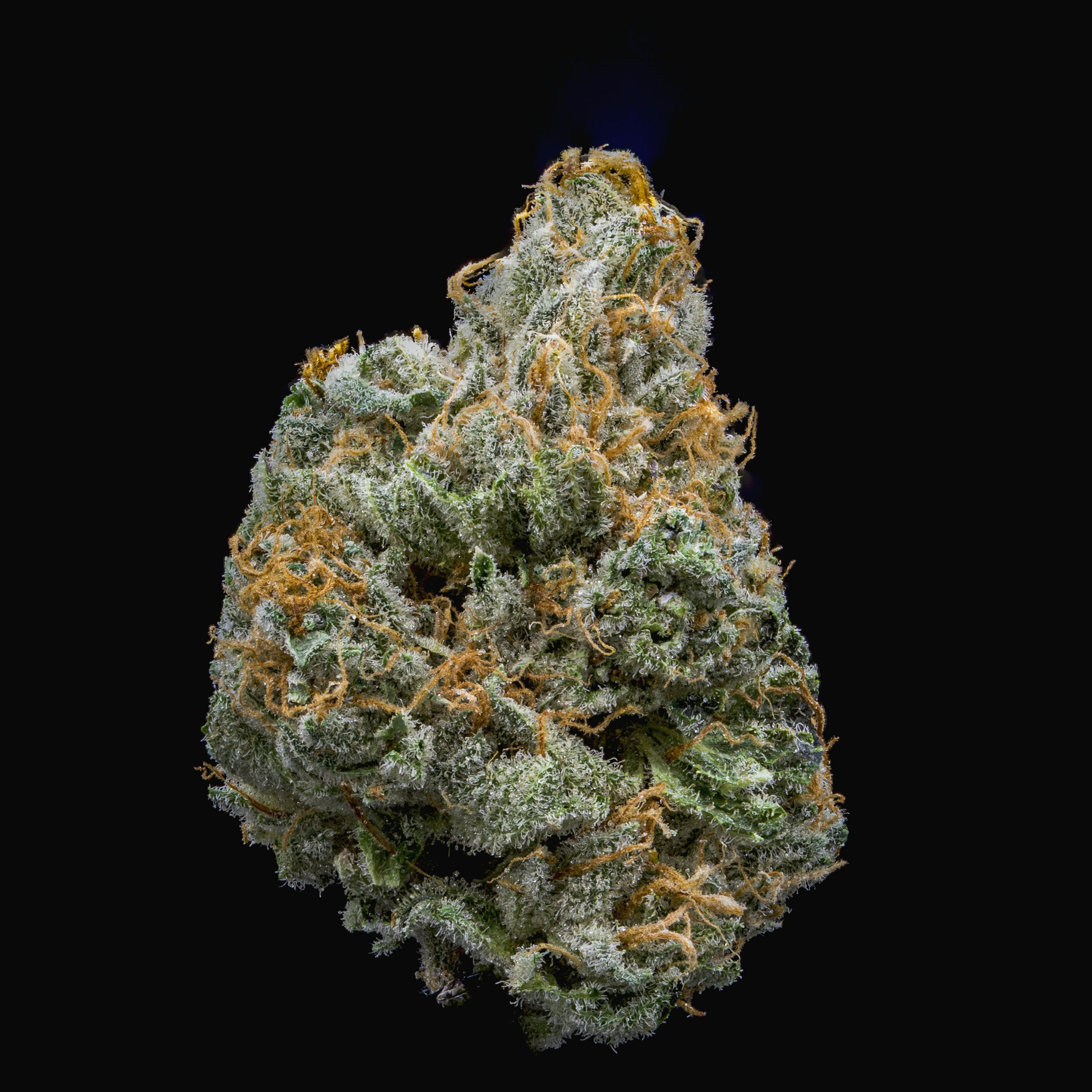 Violet Vixen by JAR Cannabis Co. at JAR Cannabis Co. Dispensary - Carrabassett (Sugarloaf)