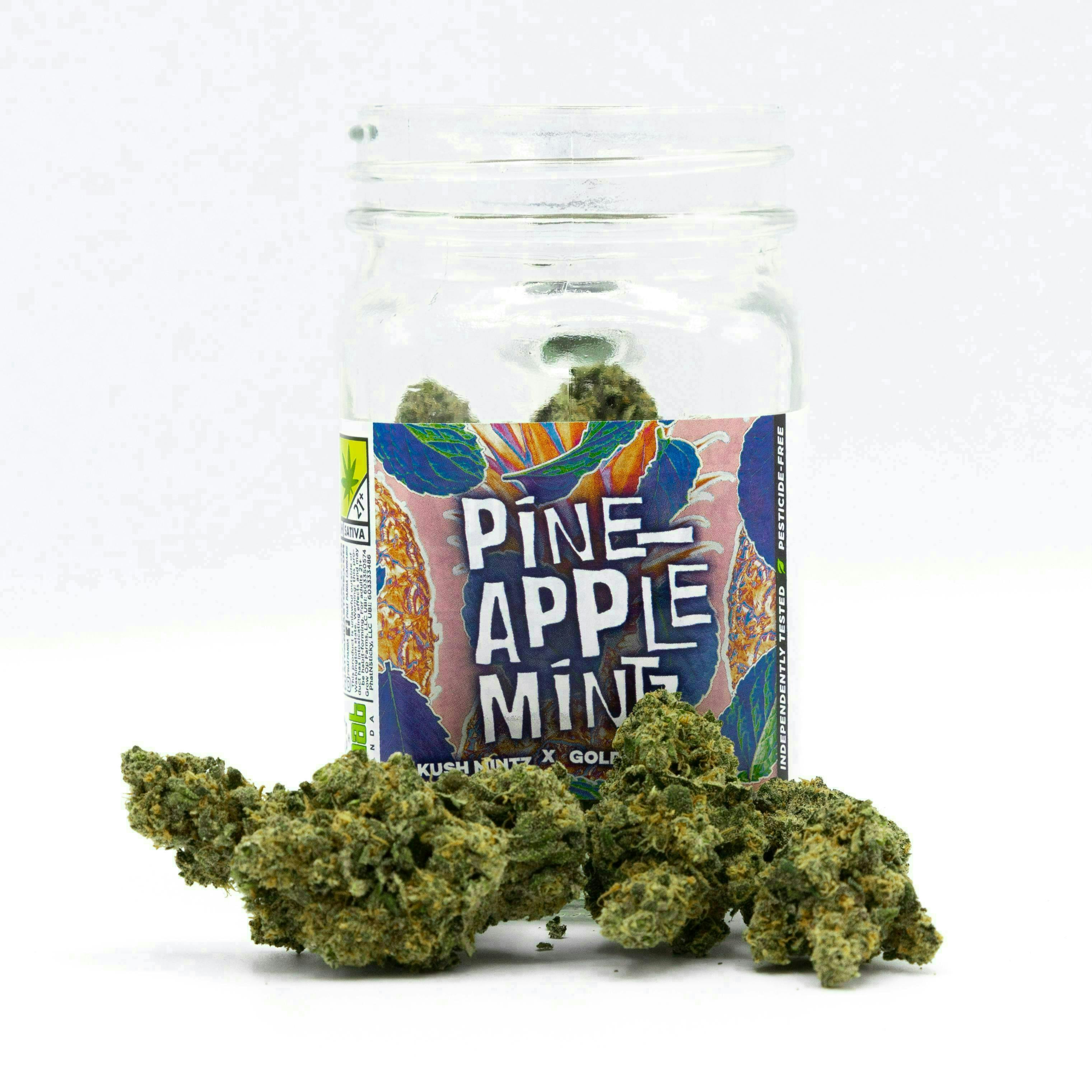 Pineapple Mintz | Big Buds by Phat Panda