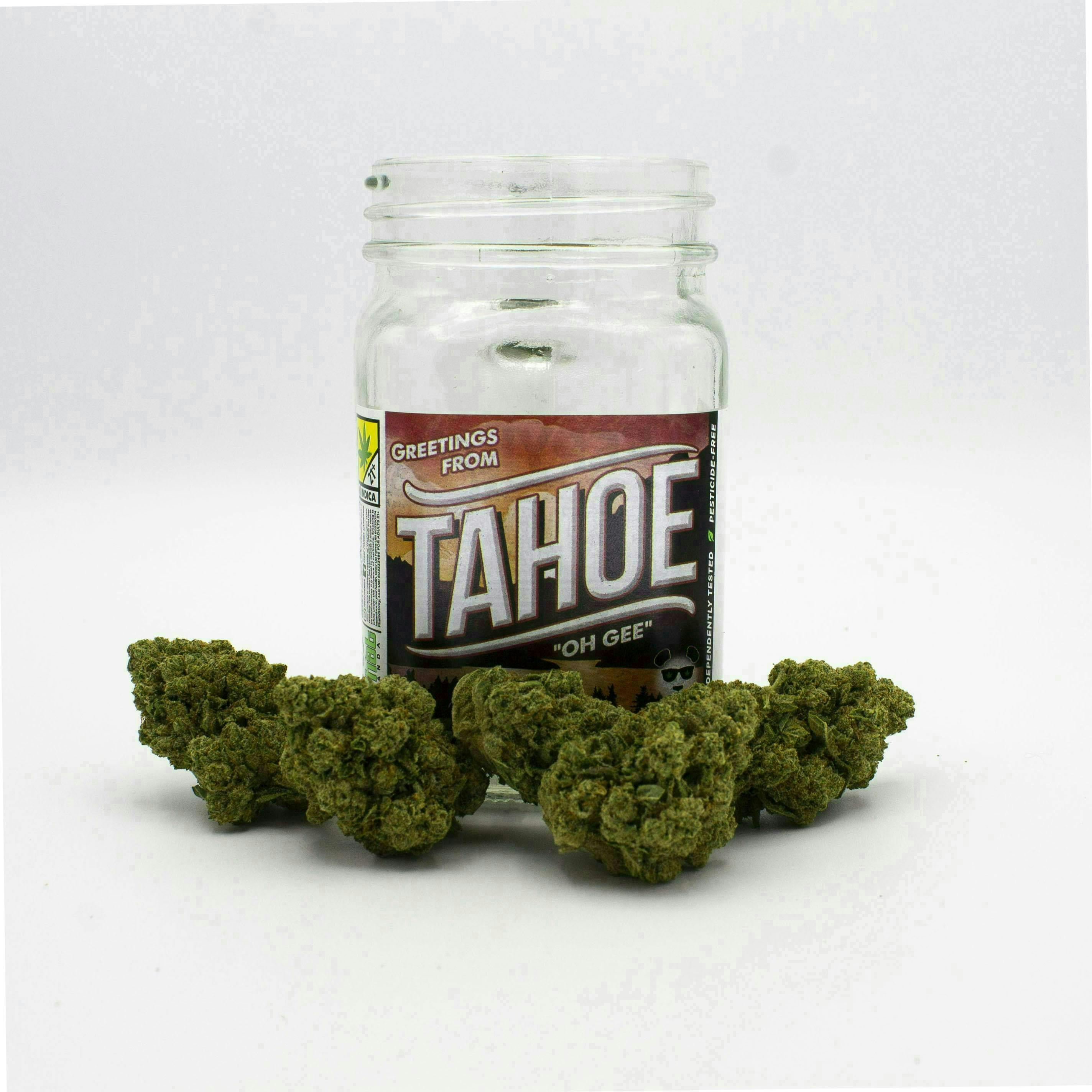 Tahoe OG | Big Buds by Phat Panda
