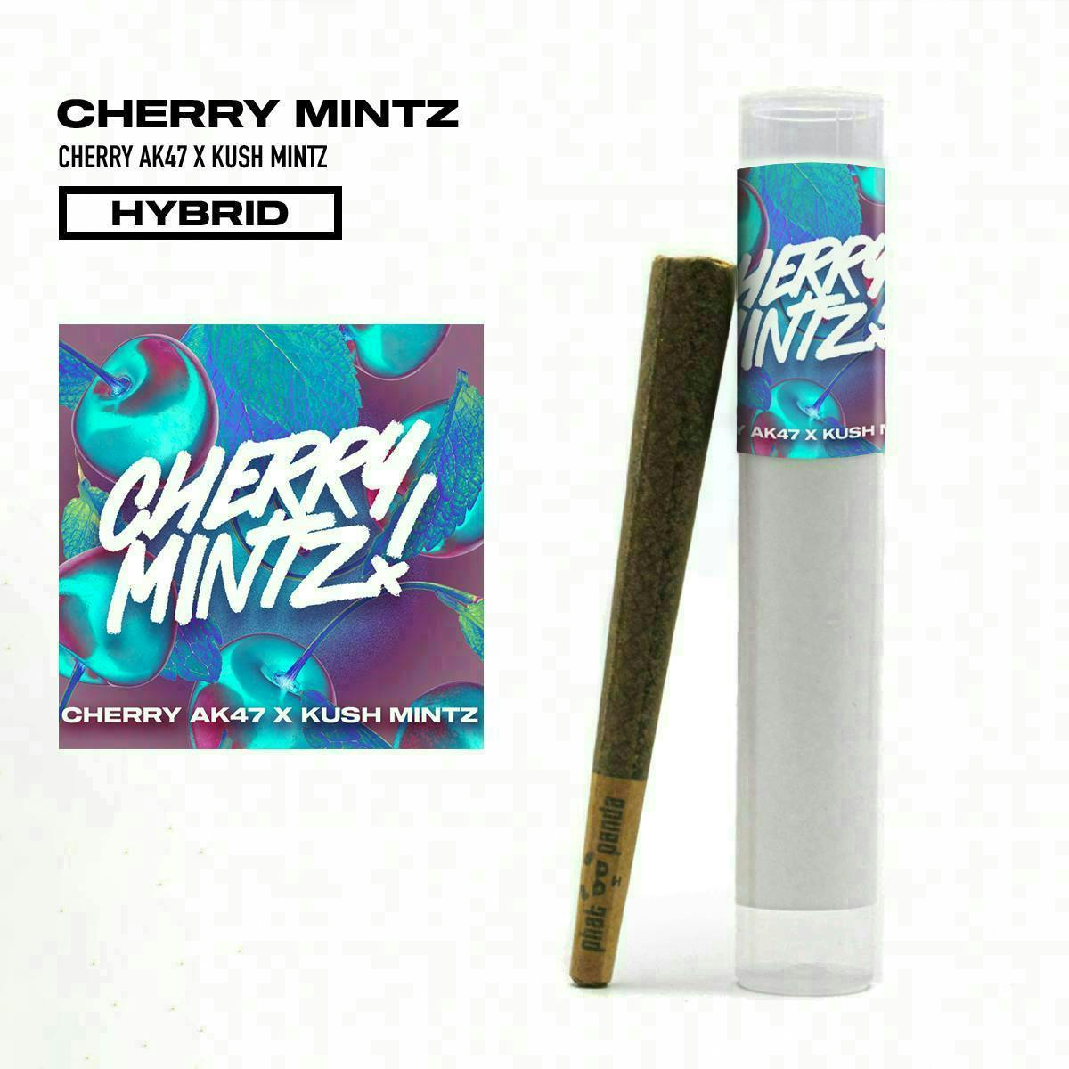 Cherry Mintz | Joint | 1g by Phat Panda