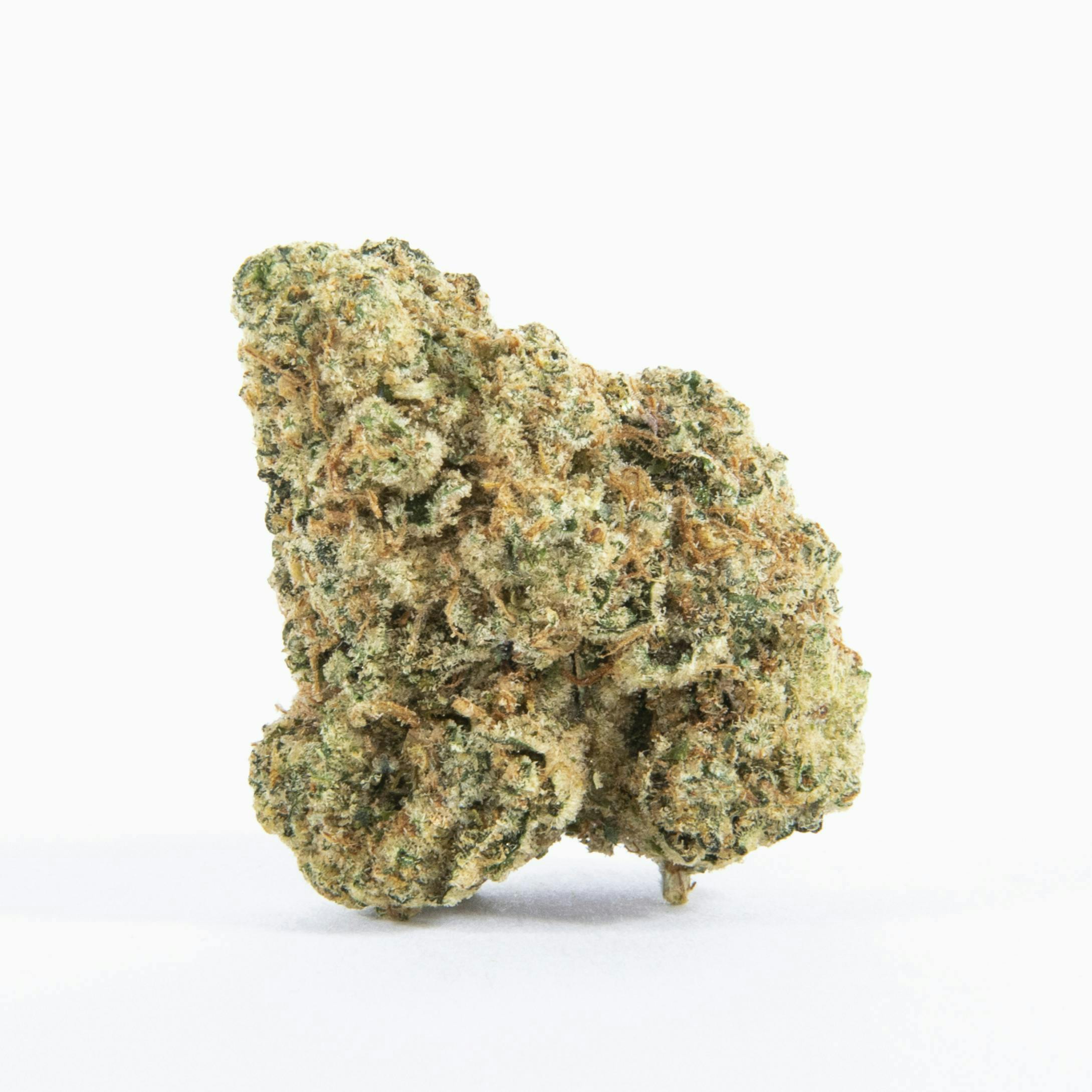 Pure Beauty: New Jack City