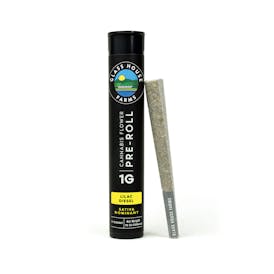 Lilac Diesel [1g Preroll]