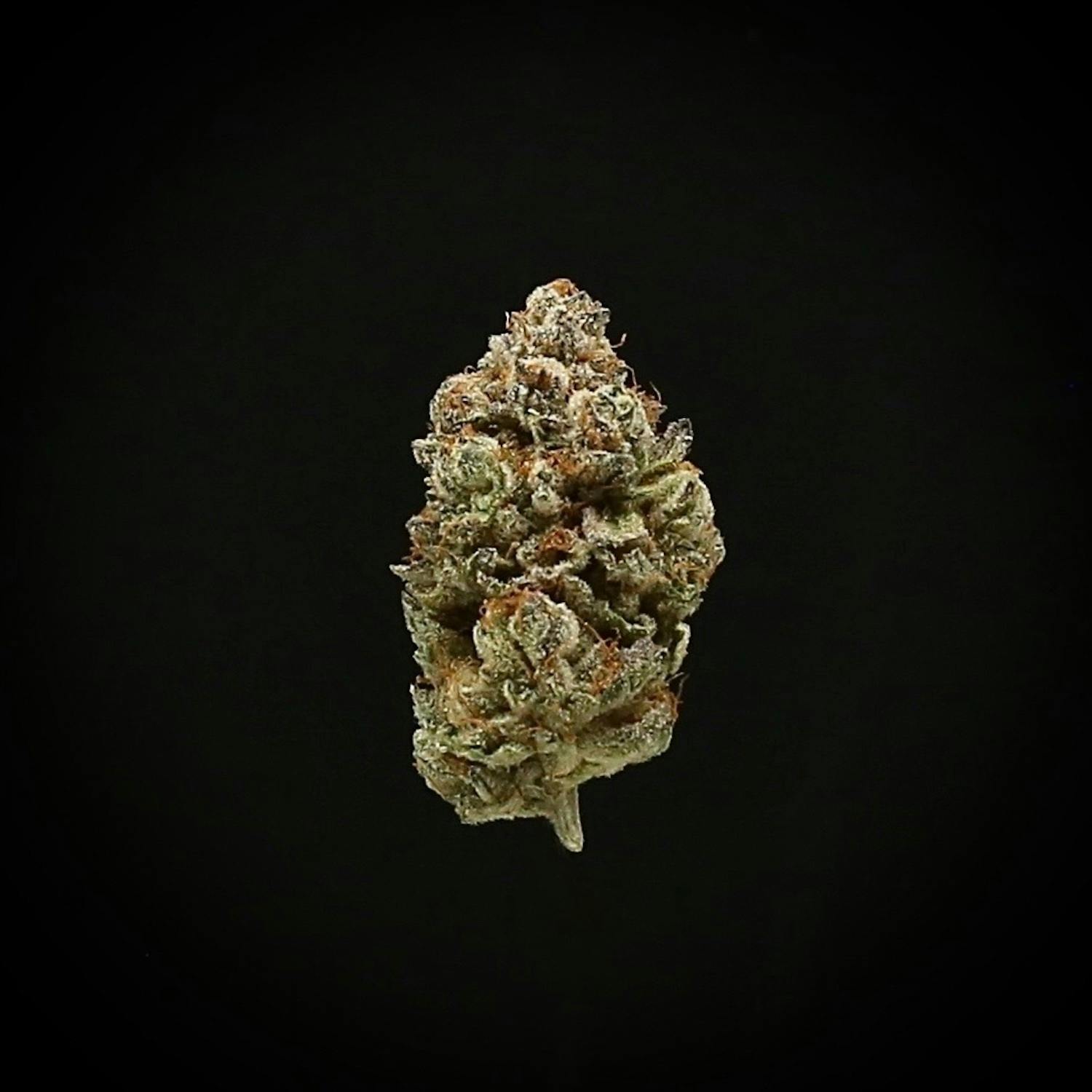 Franken Cakes by Stoner&Co
