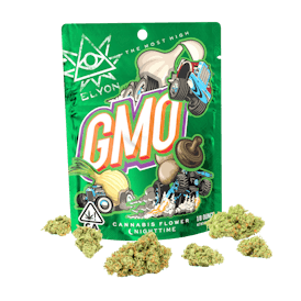 GMO