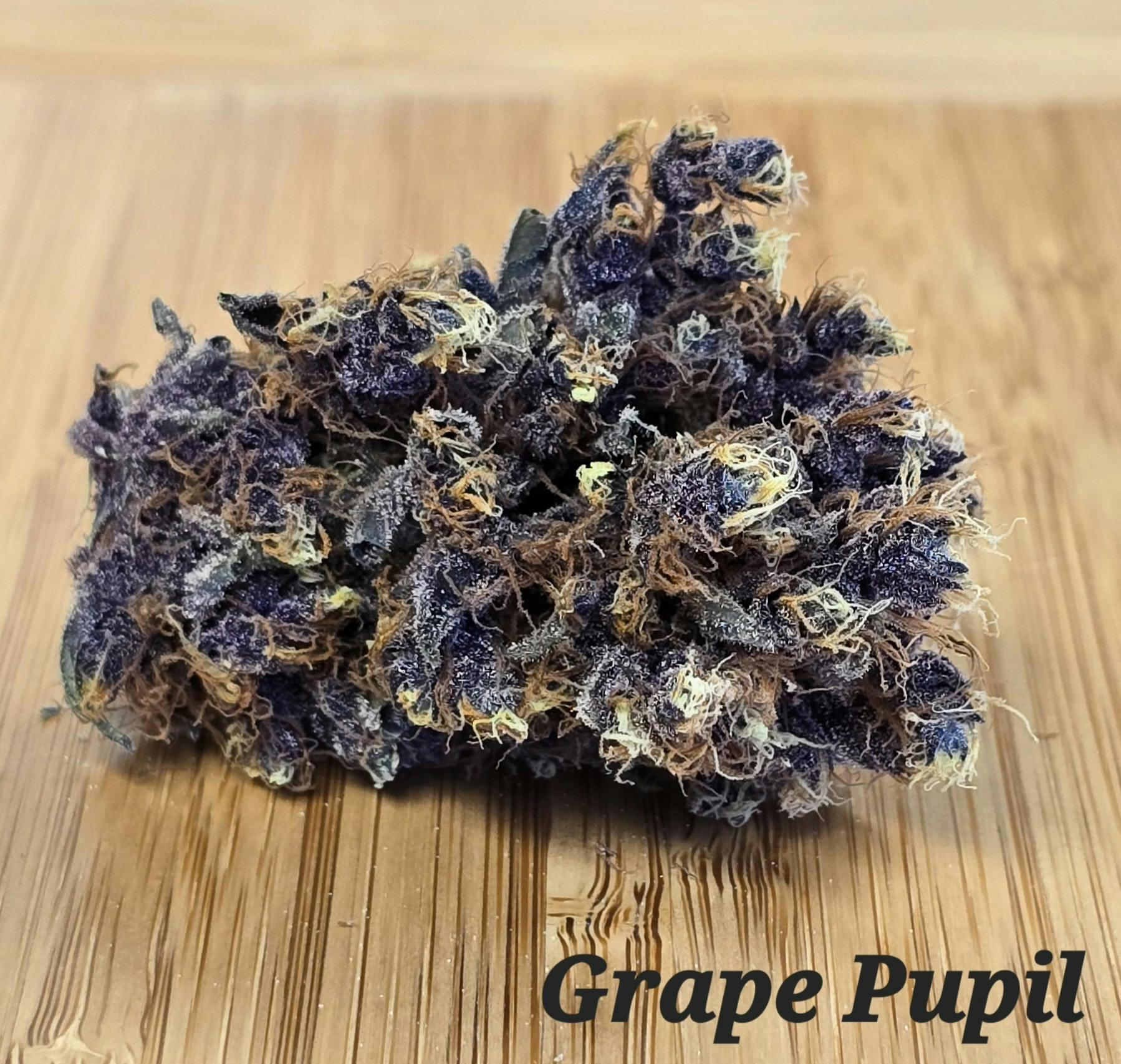 Grape Pupil at Lake Smoke Farm