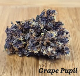 Grape Pupil