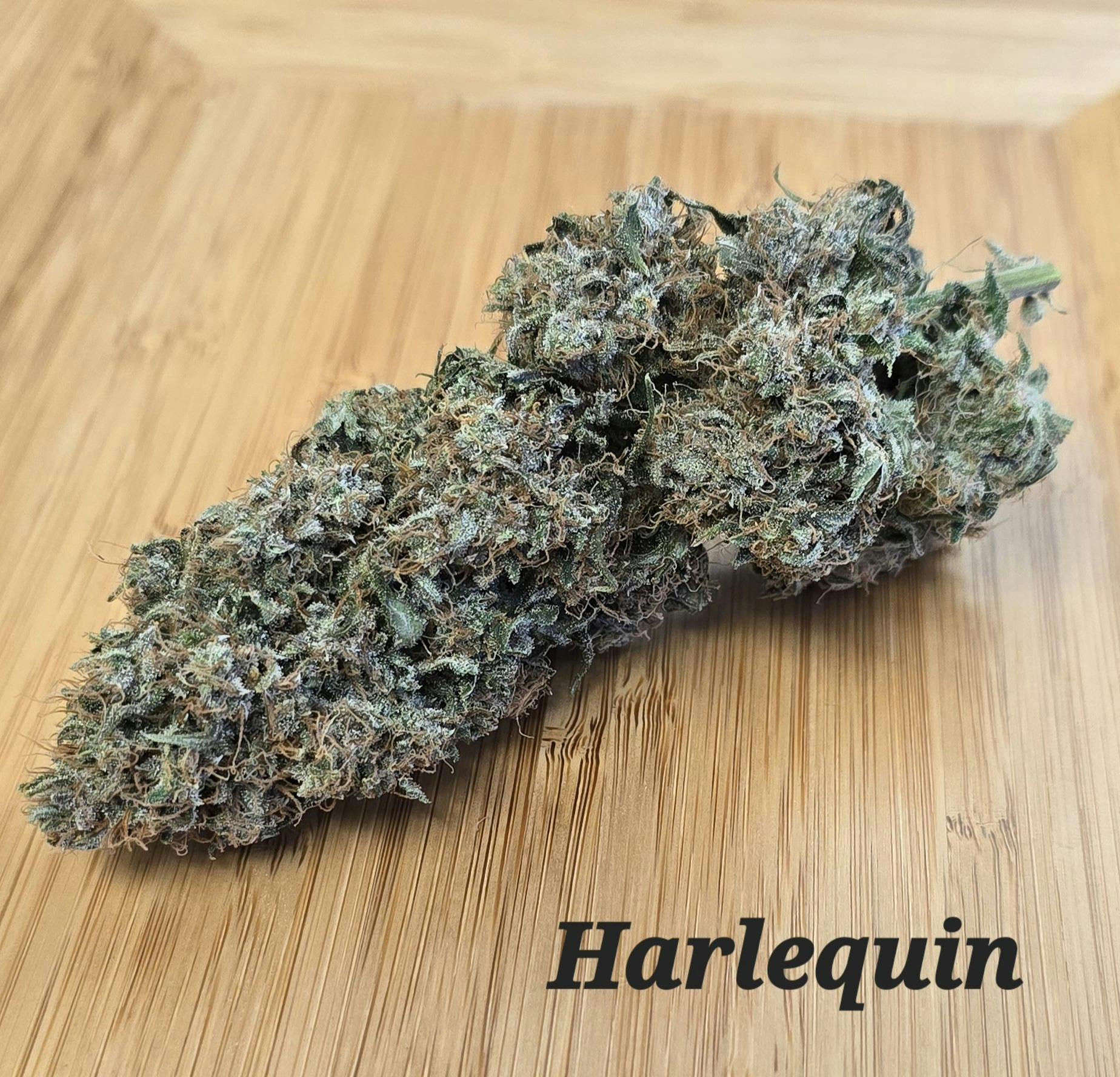 ITF | Harlequin | Big Buds | 1g at Lake Smoke Farm