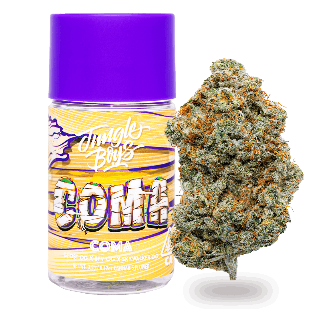 Jungle Boys | Coma - 3.5g Jar by Jungle Boys