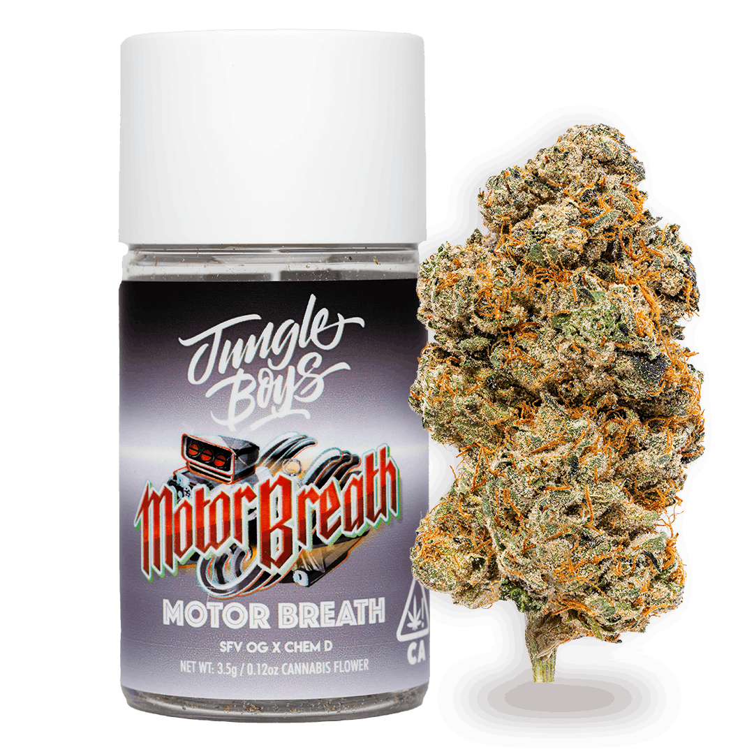 Jungle Boys | Motor Breath - 3.5g Jar - Jungle Boys